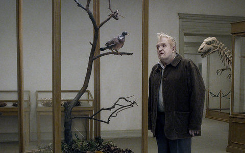 Painting Cinema: A Pigeon Sat on a Branch Reflecting on Existence/En duva satt på en gren och funderade på tillvaron