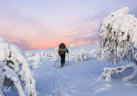 Travel in Scandinavia