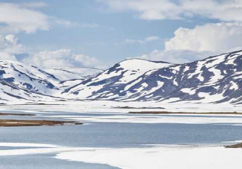 Once and Future Arctic