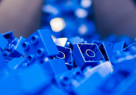 LEGO® Bricks: A Celebration!