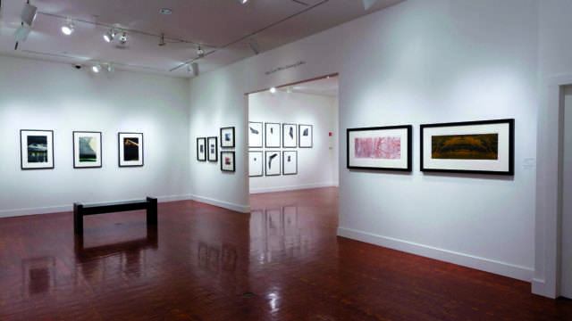 Scandinavia House Gallery