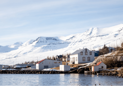 ONLINE — ICELAND’S RESPONSE TO THE CORONAVIRUS