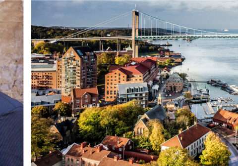 VIRTUAL TALK — SWEDEN’S RESPONSE TO THE CORONAVIRUS