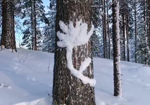 Winter Wonderland — Snow Art Workshop