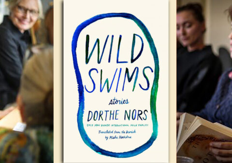 Wild Swims by Dorthe Nors
