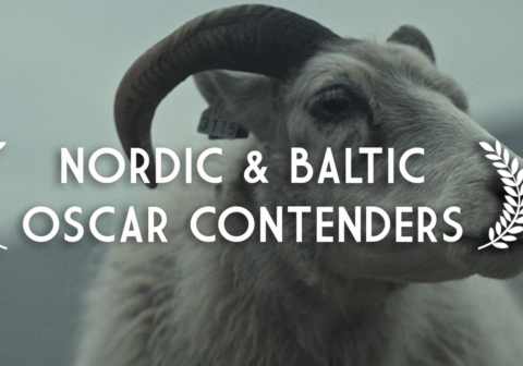 Nordic & Baltic Oscar Contenders 2022