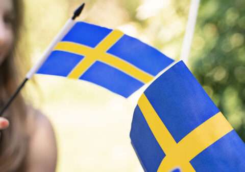 SWEDISH BEGINNER 1 | FALL 2024