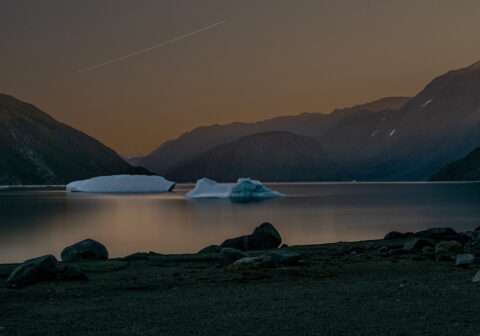 On the Arctic Edge — Artists Explore the Far North
