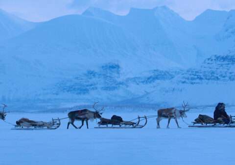 The 2023 Sámi Film Festival