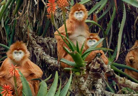 IN CONVERSATION: SIMEN JOHAN WITH W.M. HUNT