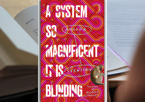 A SYSTEM SO MAGNIFICENT IT IS BLINDING BY AMANDA SVENSSON