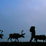 THE 2024 SÁMI FILM FESTIVAL