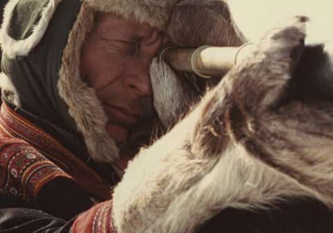 OPENING NIGHT | THE 2025 SÁMI FILM FESTIVAL