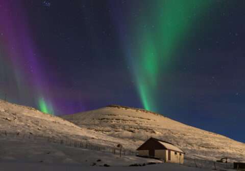 WEST NORDIC FILM DAYS