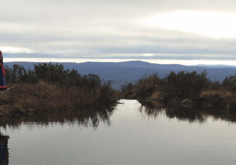 VIRTUAL SCREENINGS | THE 2026 SÁMI FILM FESTIVAL