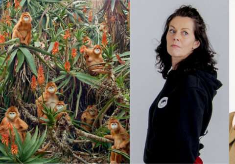 A TIME FOR EVERYTHING — OPENING DAY CELEBRATION