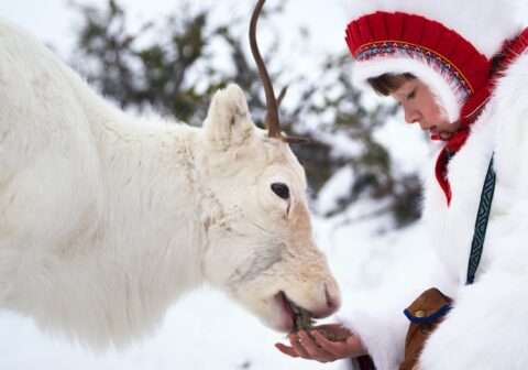 THE 2026 SÁMI FILM FESTIVAL