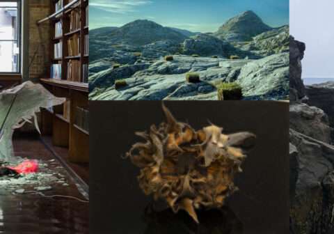 INSIDE VOICES, OUTSIDE LIGHT — OPENING DAY CELEBRATION